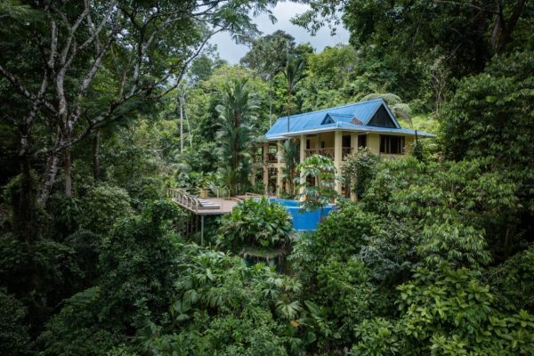 92ce154c-d7db-4f9d-81a1-d2b92caa76e9