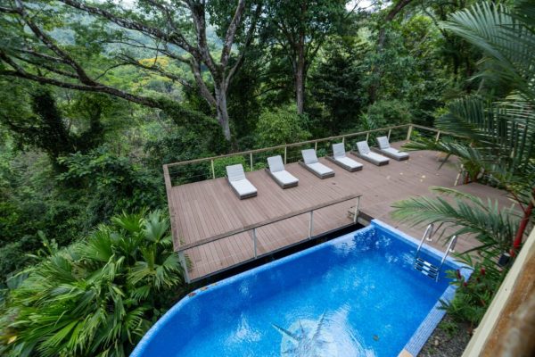 c9782d93-ed3f-4294-98d3-186f29f2c14e